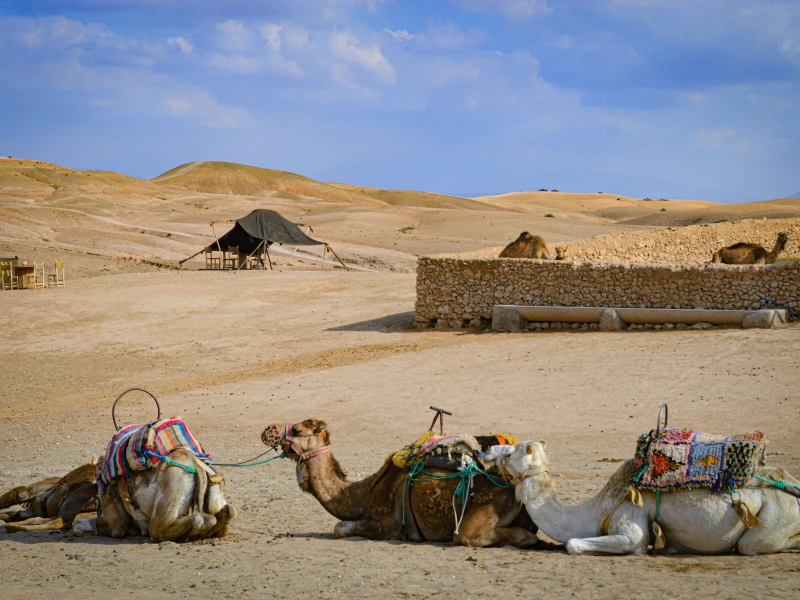 lina_travel_marrakech_transfert_prive_marrakech_galery_excursion_d_une_journ_e_au_d_sert_d_agafay06